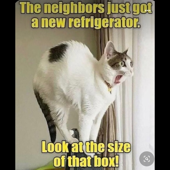 CLOSED Game! JOIN New Follow Game! 🌷💕 - Picture 8 of 16